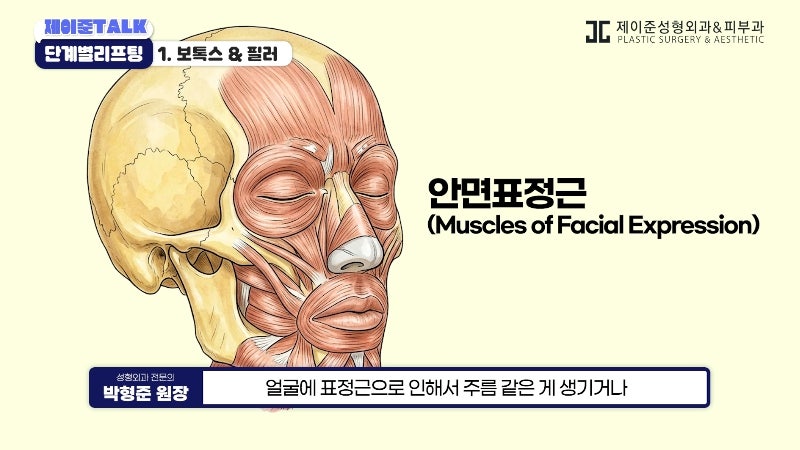 [제이준성형외과·피부과] 보톡스부터 안면거상까지, 내 처짐 수준에 맞는 리프팅 선택법 사진 3